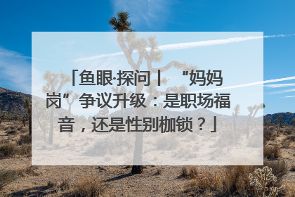 鱼眼·探问丨 “妈妈岗”争议升级：是职场福音，还是性别枷锁？