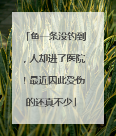 鱼一条没钓到，人却进了医院！最近因此受伤的还真不少