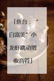 鱼台：“白富美”小龙虾跳动增收音符