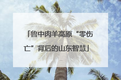 鲁中肉羊高原“零伤亡”背后的山东智慧