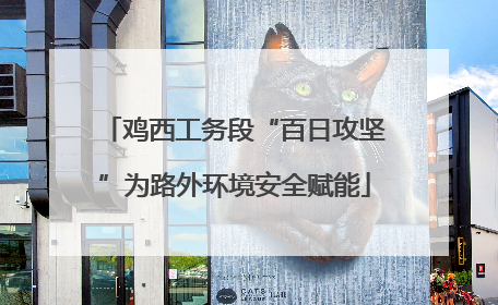 鸡西工务段“百日攻坚”为路外环境安全赋能