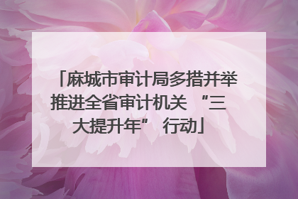 麻城市审计局多措并举推进全省审计机关 “三大提升年” 行动