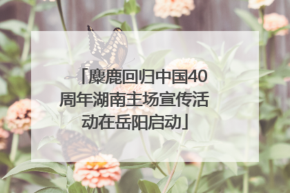 麋鹿回归中国40周年湖南主场宣传活动在岳阳启动