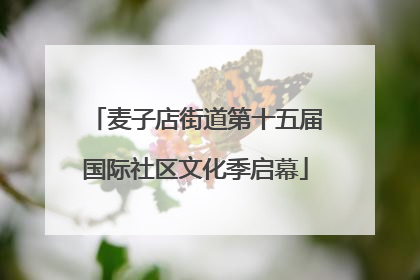 麦子店街道第十五届国际社区文化季启幕