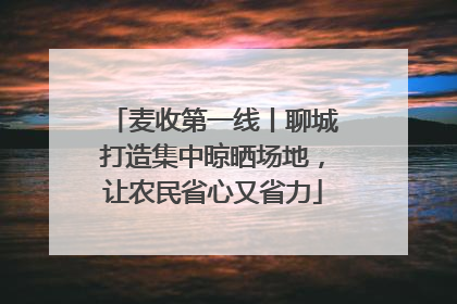 麦收第一线丨聊城打造集中晾晒场地，让农民省心又省力
