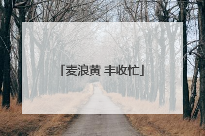 麦浪黄 丰收忙