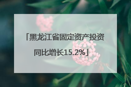 黑龙江省固定资产投资同比增长15.2%