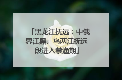 黑龙江抚远：中俄界江黑、乌两江抚远段进入禁渔期