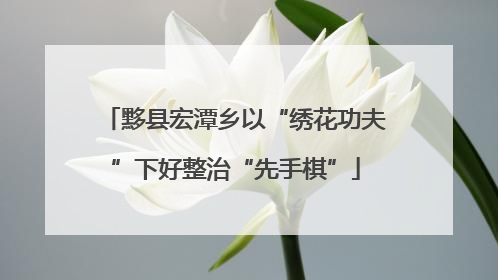 黟县宏潭乡以“绣花功夫”下好整治“先手棋”