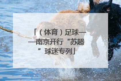 （体育）足球——南京开行“苏超”球迷专列