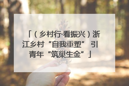 （乡村行·看振兴）浙江乡村“自我重塑” 引青年“筑巢生金”