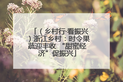 （乡村行·看振兴）浙江乡村：时令果蔬迎丰收 “甜蜜经济”促振兴
