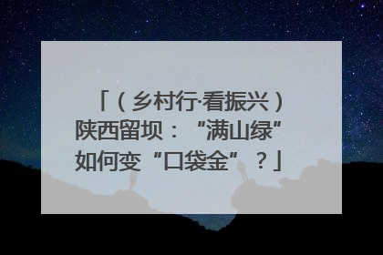 （乡村行·看振兴）陕西留坝：“满山绿”如何变“口袋金”？
