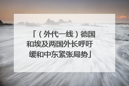 （外代一线）德国和埃及两国外长呼吁缓和中东紧张局势