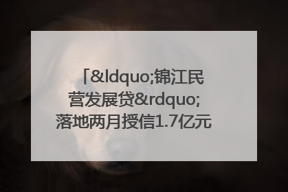 “锦江民营发展贷”落地两月授信1.7亿元，惠及118家民企