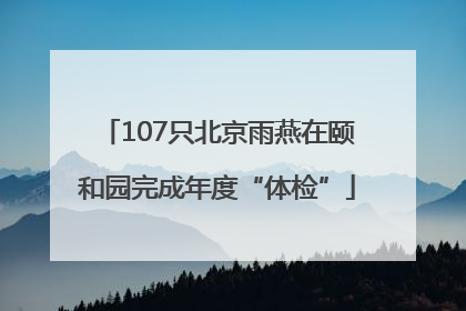 107只北京雨燕在颐和园完成年度“体检”