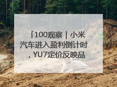 100观察｜小米汽车进入盈利倒计时，YU7定价反映品牌升维战略