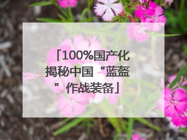 100%国产化 揭秘中国“蓝盔”作战装备
