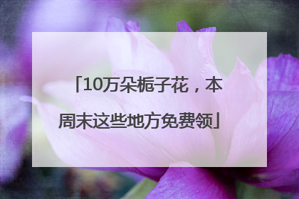 10万朵栀子花，本周末这些地方免费领