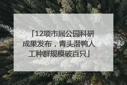 12项市属公园科研成果发布，青头潜鸭人工种群规模破百只