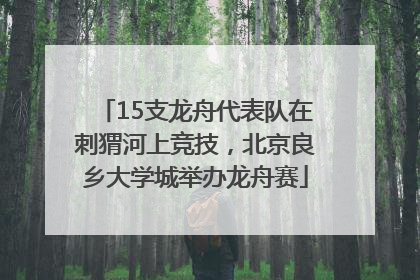 15支龙舟代表队在刺猬河上竞技，北京良乡大学城举办龙舟赛