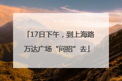 17日下午，到上海路万达广场“问招”去