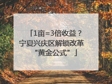 1亩=3倍收益？宁夏兴庆区解锁改革“黄金公式”