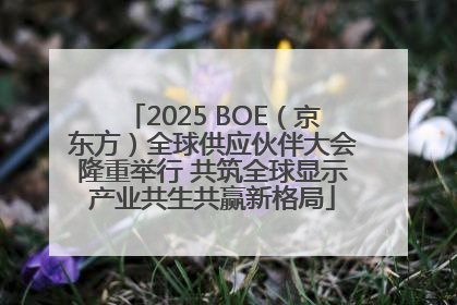 2025 BOE（京东方）全球供应伙伴大会隆重举行 共筑全球显示产业共生共赢新格局