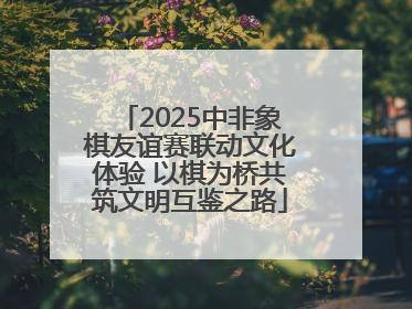 2025中非象棋友谊赛联动文化体验 以棋为桥共筑文明互鉴之路