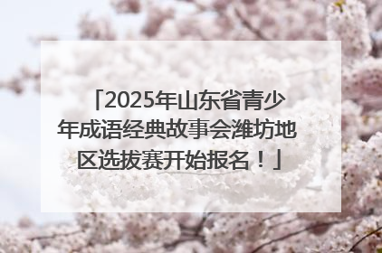 2025年山东省青少年成语经典故事会潍坊地区选拔赛开始报名！