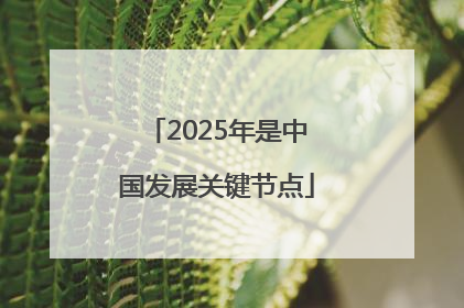 2025年是中国发展关键节点
