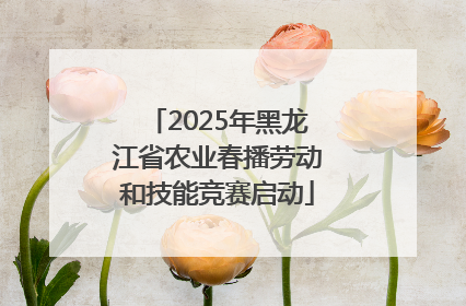 2025年黑龙江省农业春播劳动和技能竞赛启动