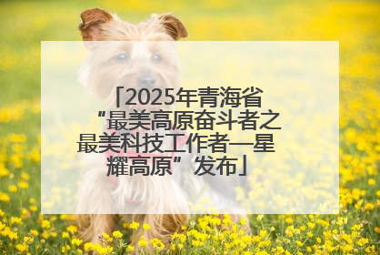 2025年青海省“最美高原奋斗者之最美科技工作者—星耀高原”发布