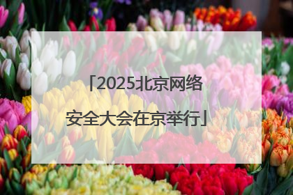 2025北京网络安全大会在京举行