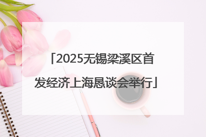 2025无锡梁溪区首发经济上海恳谈会举行