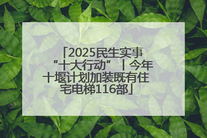 2025民生实事“十大行动”丨今年十堰计划加装既有住宅电梯116部