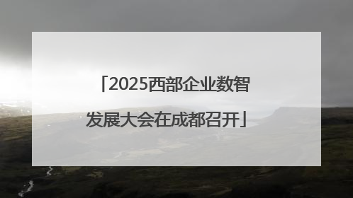 2025西部企业数智发展大会在成都召开