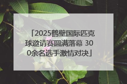 2025鹤壁国际匹克球邀请赛圆满落幕 300余名选手激情对决