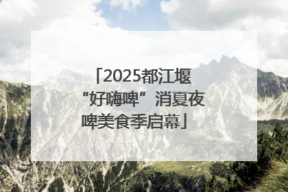 2025都江堰“好嗨啤”消夏夜啤美食季启幕