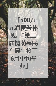 500万元消费券补贴 “第三届槐荫惠民车展”将于6月中旬举办