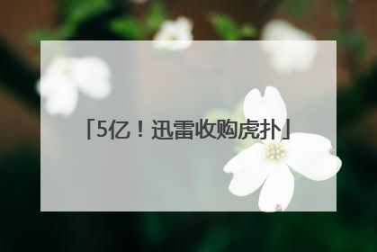 5亿！迅雷收购虎扑