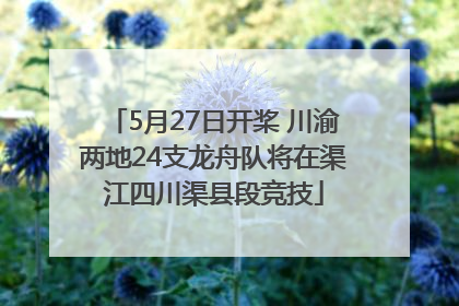 5月27日开桨 川渝两地24支龙舟队将在渠江四川渠县段竞技