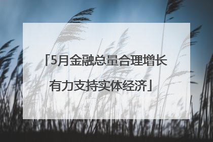 5月金融总量合理增长 有力支持实体经济