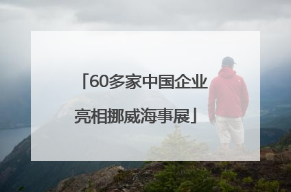 60多家中国企业亮相挪威海事展