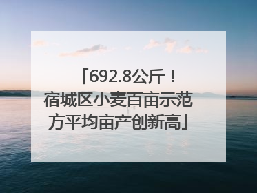 692.8公斤！宿城区小麦百亩示范方平均亩产创新高