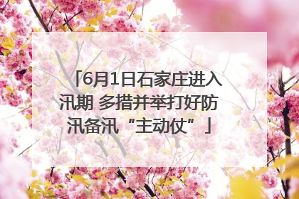 6月1日石家庄进入汛期 多措并举打好防汛备汛“主动仗”