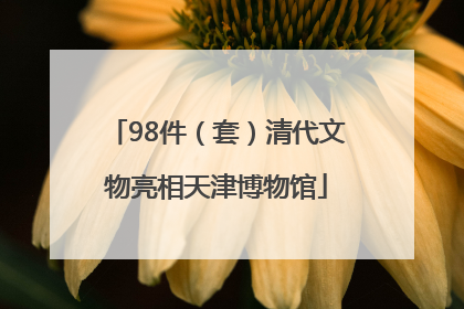 98件（套）清代文物亮相天津博物馆