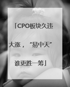 CPO板块久违大涨，“易中天”谁更胜一筹