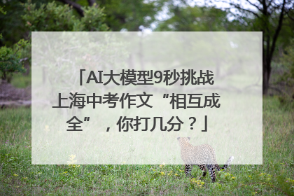 AI大模型9秒挑战上海中考作文“相互成全”，你打几分？