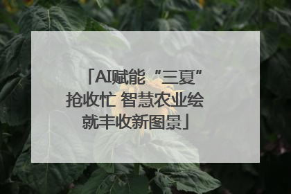AI赋能“三夏”抢收忙 智慧农业绘就丰收新图景